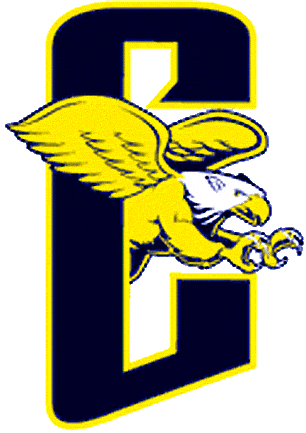 Canisius Golden Griffins 1999-2005 Alternate Logo iron on transfers for clothing